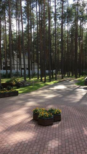 House At Pskovskoye Lake
