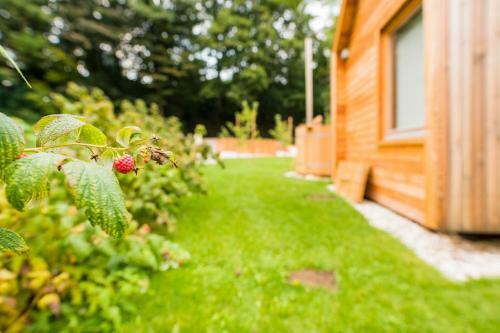 Glamping Mountain Fairy Tale