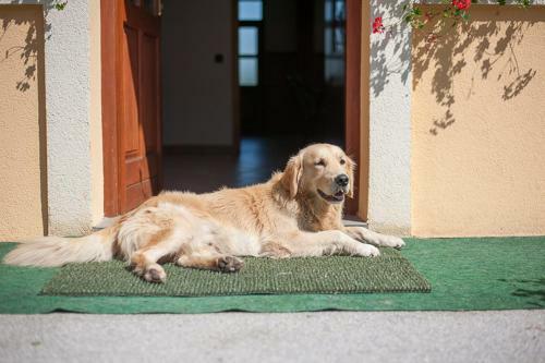 Agroturismo Farm Stay Kramer