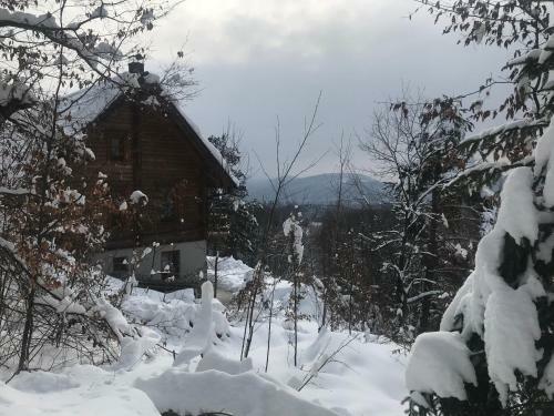 Lodge Romantic Cottage House