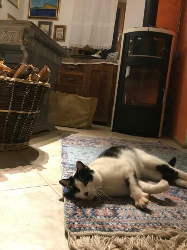 Lodge Romantic Cottage House