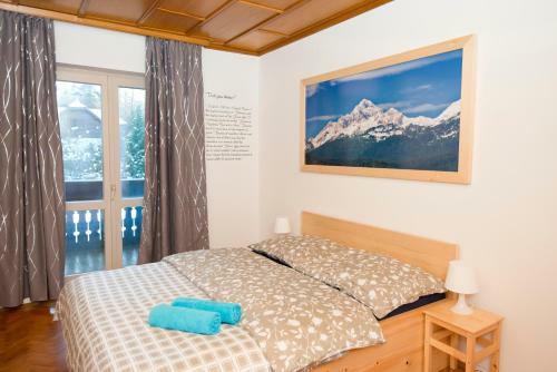 Hostal Vila Lipa