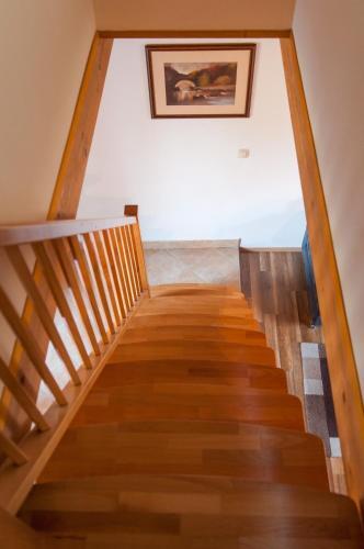 Apartment Gasa