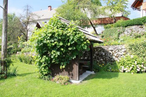 Hostal Apartments Pri Urhu