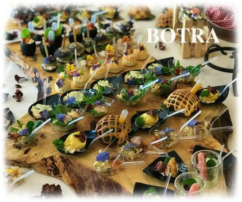 Hotel Botra