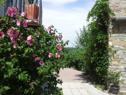 Hostal Apartments Dvor