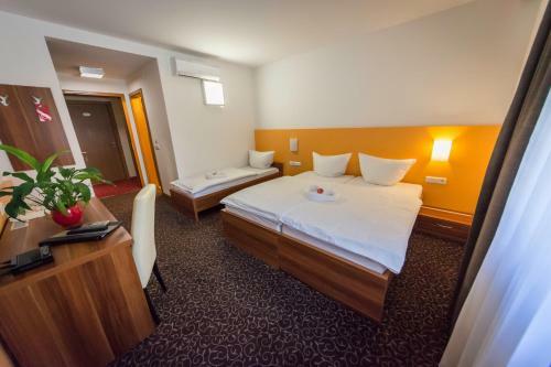 Hostal Penzion Vodnik