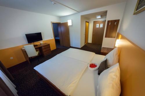 Hostal Penzion Vodnik