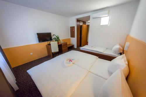 Hostal Penzion Vodnik
