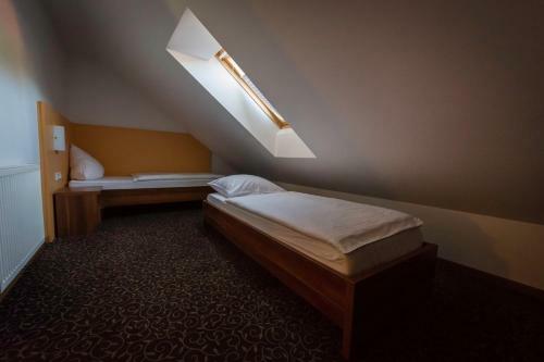 Hostal Penzion Vodnik