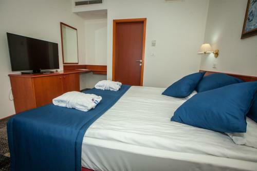 Hotel Toplice - Terme ?ate?