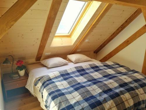 Apartma 10th Mountain, Bovec