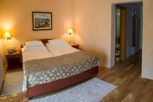 Hostal Penzion Mayer