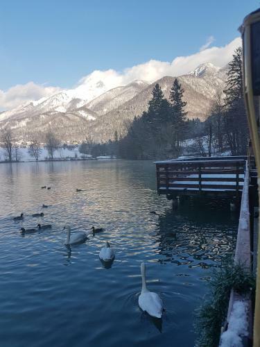 Hotel Alma & Castle Hrib