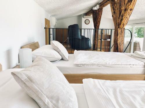 Apartment Laurus