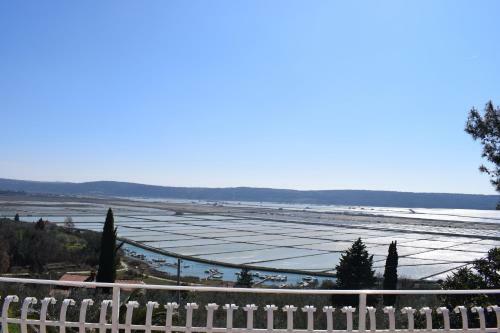 Apartment Laurus