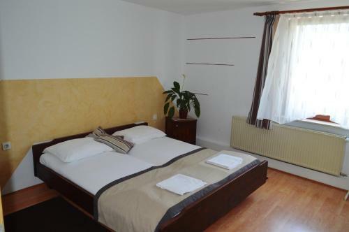 Hostal Gostilna S Prenocisci Danica