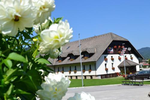 Bed & Breakfast Mini Hotel