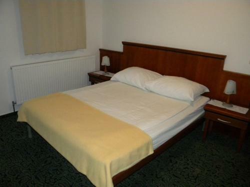 Hotel Gosti??e & Motel Deteljica