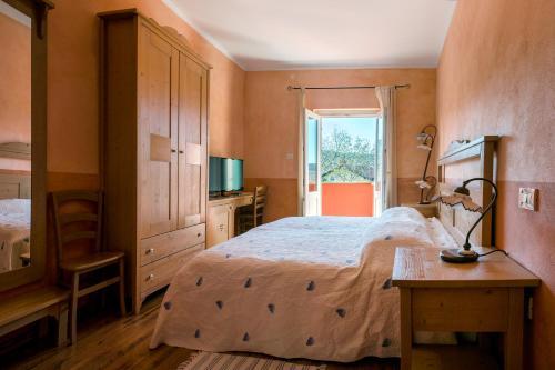 Hostal Guesthouse Skok