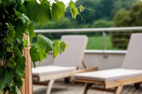 Hotel Mond, Resort & Entertainment