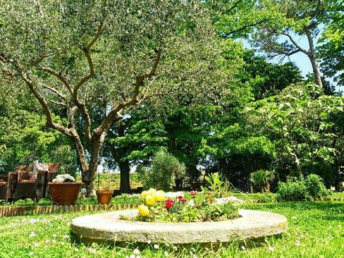 Hostal Apartmaji, Sobe - Obzidje