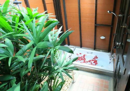 Hotel Sunset Park Resort And Spa