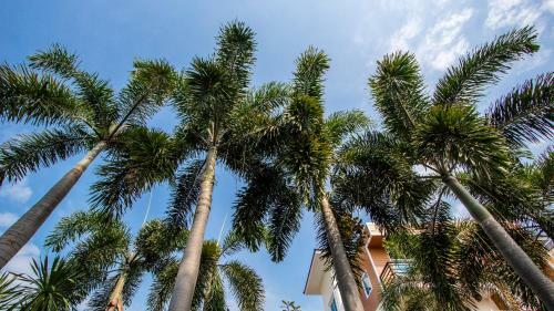 Aparthotel Phu Places