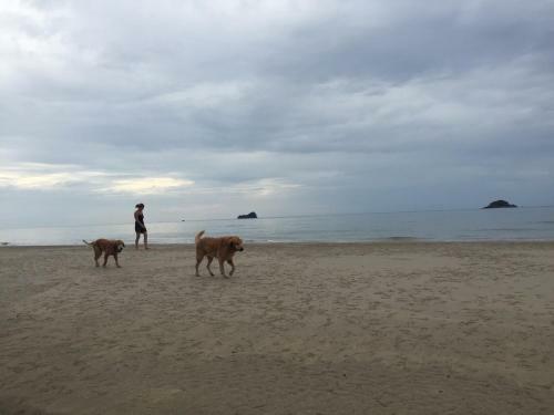 Apartamento Away Baan Nub Kluen Beach Front