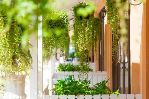 Apartamento The Stay