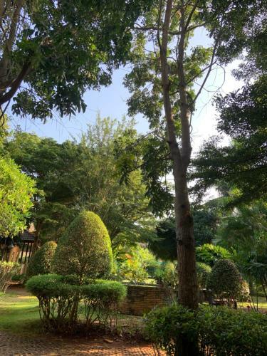 Hotel Khao Yai Cottage