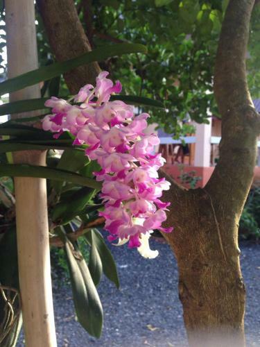 Hotel Chuanchom Resort