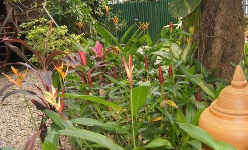 Hostal Mut Mee Garden Guest House