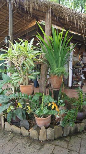 Hostal Mut Mee Garden Guest House
