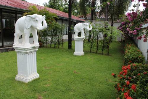 Hotel White Elephant Resort