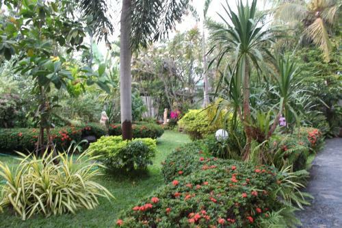 Hotel White Elephant Resort