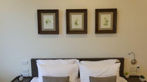 Hotel The Garden 304