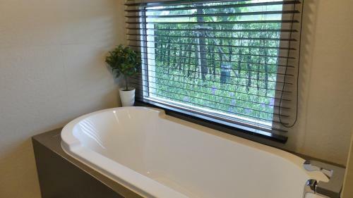 Hotel The Garden 304
