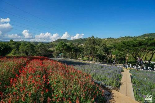 Hotel Phukaew & Adventure Park Resort