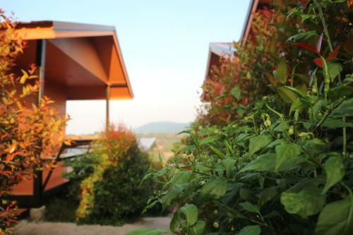 Hostal Jit Dee Home Khao Kho
