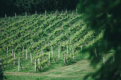 Issara Boutique Winery Hotel