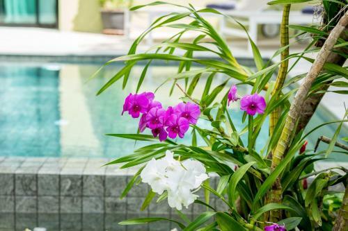 Villa Baan Suaan Serenity