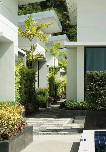 Limelight Village