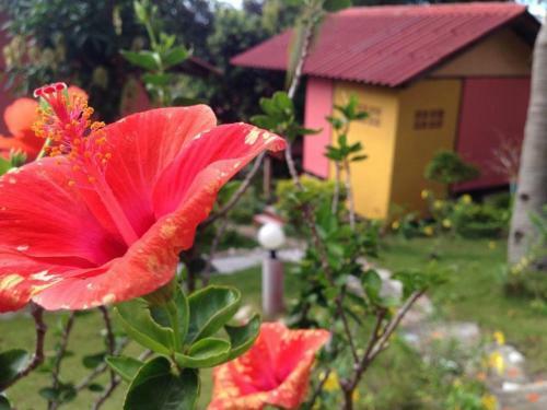Hotel J.b.hut Bungalows