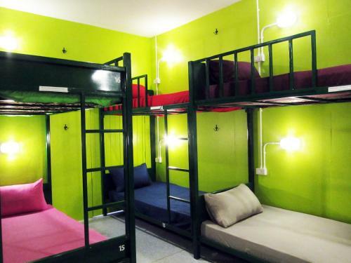 Treechart Hostel