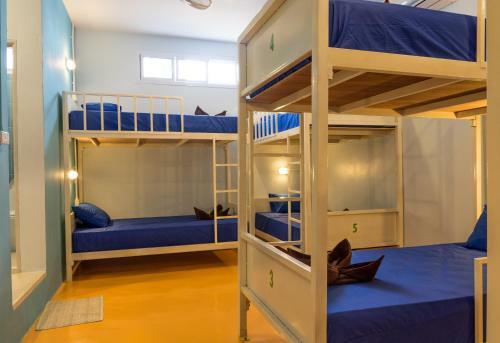 Treechart Hostel