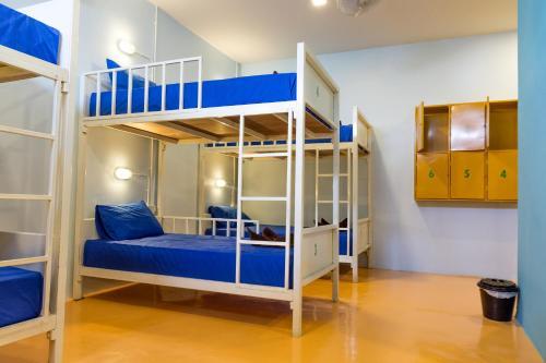 Treechart Hostel
