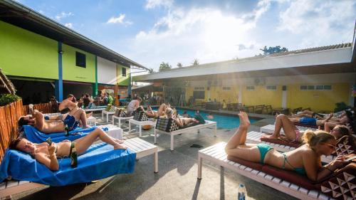 Treechart Hostel