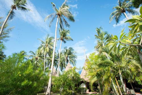 Hotel B52 Beach Resort