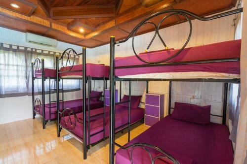 Albergue Goodtime Koh Phangan
